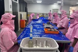 IMG-20250911-WA0067 8