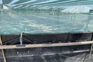 WhatsApp Image 2025-09-25 at 09.54.16_5600a585 WhatsApp Image 2025-09-25 at 09.54.16_5600a585