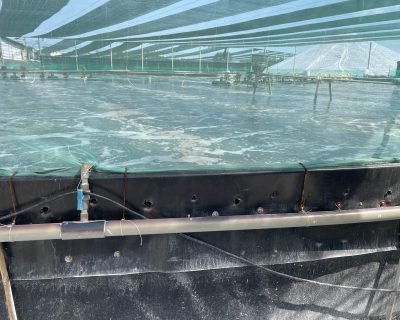 WhatsApp Image 2025-09-25 at 09.54.16_5600a585