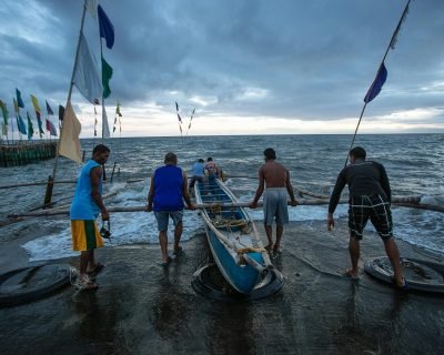 pexels-denniz-futalan-339724-1390072 pexels-denniz-futalan-339724-1390072