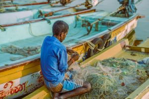 pexels-gorky-31123195 pexels-gorky-31123195