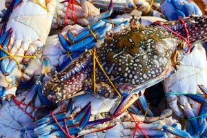 pexels-manojmk-brucelee-743756295-32987810 pexels-manojmk-brucelee-743756295-32987810